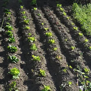 Agriturismo Oliva Azzurra Bauernhof